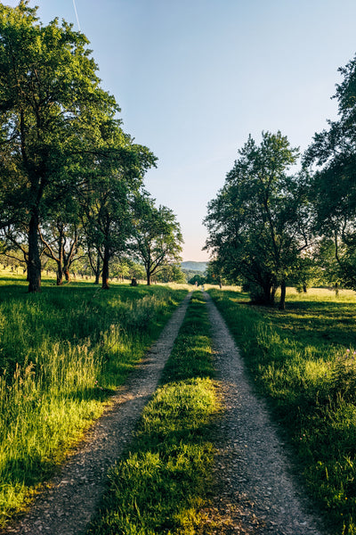 Lessons From Eleven Years of Recovery